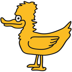 Duck