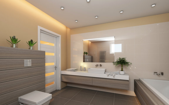 Bright Bathroom With Grey Wood