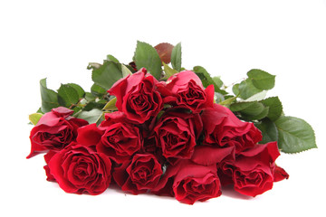 fresh red roses i