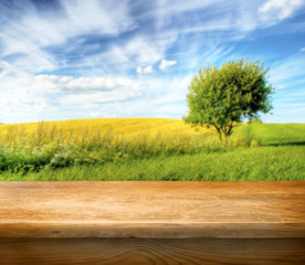 Empty table ready for Your photo montage