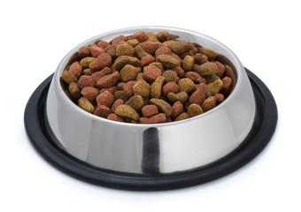 Steel bowl of pet food