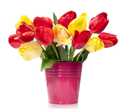 bouquet of red and yellow tulips in a bucket