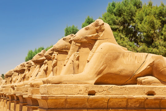 Ancient statues of Ram-headed sphinxes in Karnak temple, Luxor