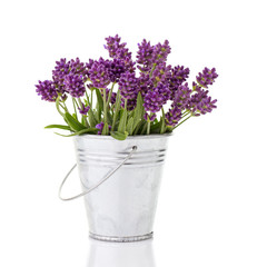 lavender in a metal bucket - obrazy, fototapety, plakaty