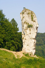 Rock called Maczuga Herkulesa in National Ojcow Park, Poland