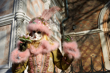 Venetian costume attends Carnival of Venice.
