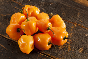 Organic Hot and Spicy Habanero Peppers - obrazy, fototapety, plakaty