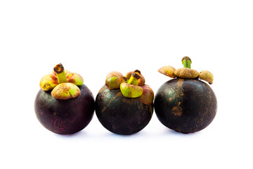 the three delicious mangosteen