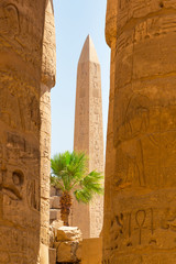 Obelisk of Queen Hapshetsut in Karnak, Egypt