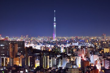 Fototapeta na wymiar Tokyo Tower i Skyline