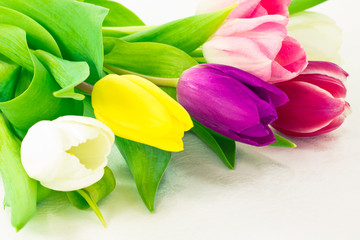 Obraz premium Bunch of tulip flowers