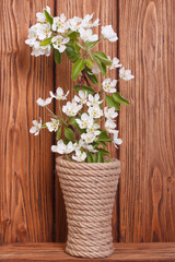 Pear flowers in a vase against brown wooden board