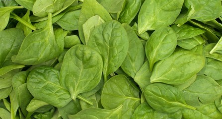Fototapeta na wymiar Stacked baby spinach