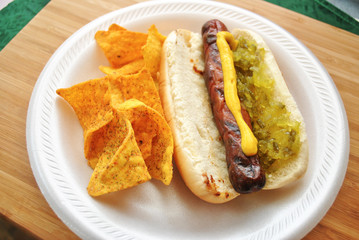 Beef Dog with Relish and Mustard on a Roll