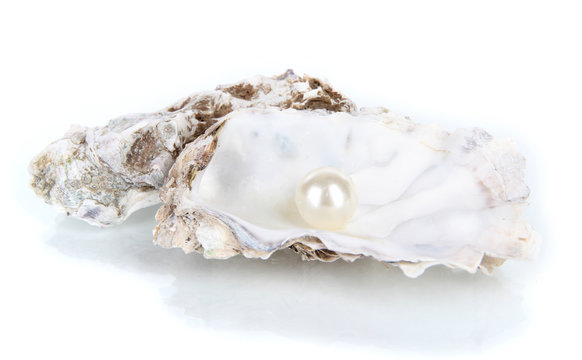 Open oyster with pearl isolated on white