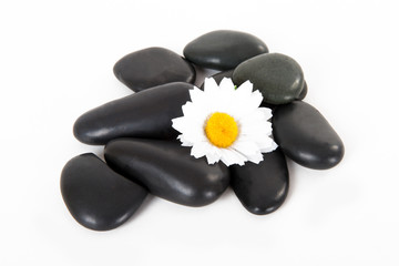 Massage Stones and Flower