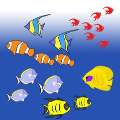 Naklejka premium 熱帯魚