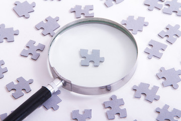 Magnifying Glass and Single Puzzle Piece