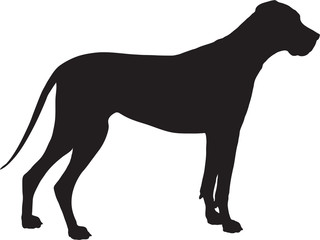 Great Dane Silhouette