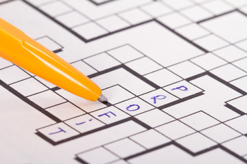 Blank Crossword Puzzle with Pen and Profit Text