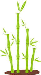 illustration bamboo vector
