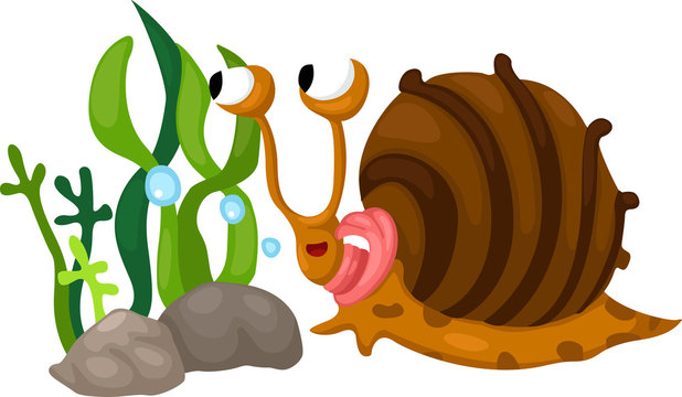 Illustration of snail white background