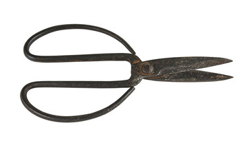 Old scissors isolated