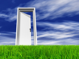 Conceptual white door in grass