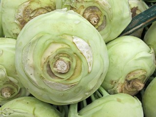 Bio Kohlrabi