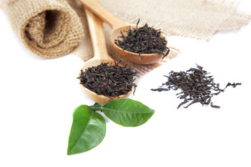 Wooden spoons with leaves tea and fresh green lemon leaf isolate