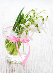 Bouquet of snowdrop flowers