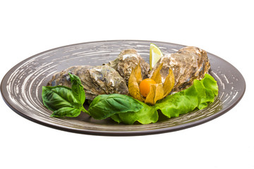 Fresh oyster