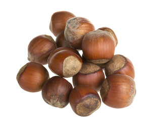 Dried hazelnuts