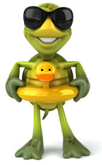 Fun turtle