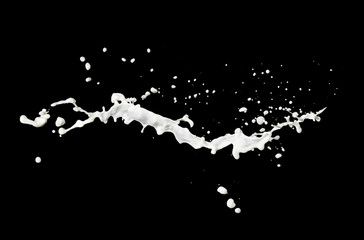 milk flow splash isolated on black background