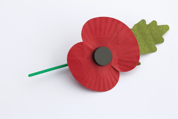 Poppy Appeal for Remembrance Day - Isolated on White Background.