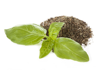 Basil leaves