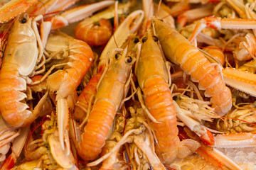 closeup on fresh prawns in a market