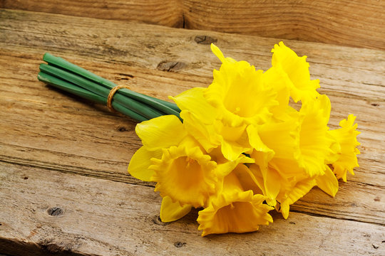 Bunch Of Spring Daffodils