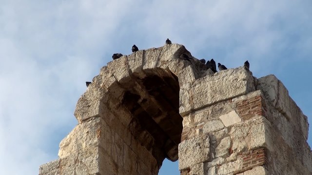 Pigeons at the Ruined Arch