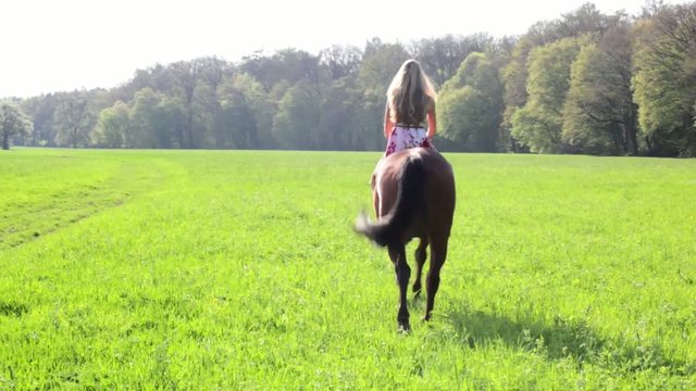 Reiten