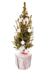 small christmas tree