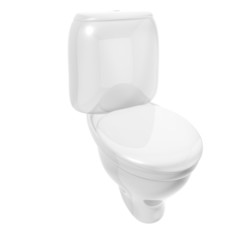 Isolated toilet bowl