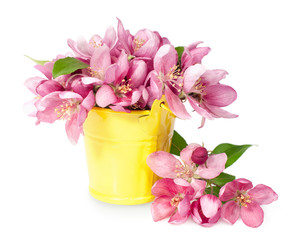 pink spring flowers in yellow pail