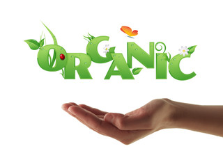 Hand holding Organic text