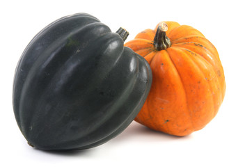 two winter squash