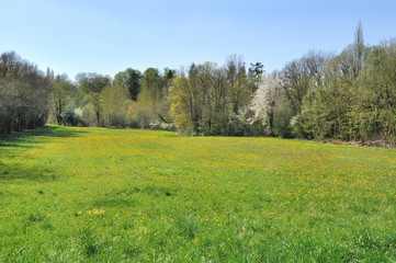 Obraz premium prairie