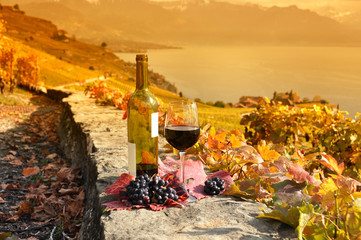 Glass of red wine on the terrace vineyard in Lavaux region, Swit