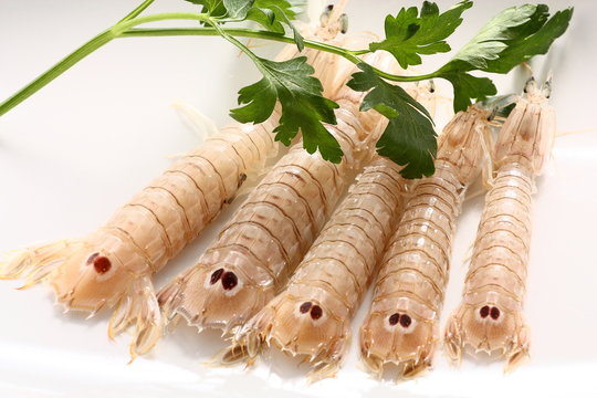 Crostaceo