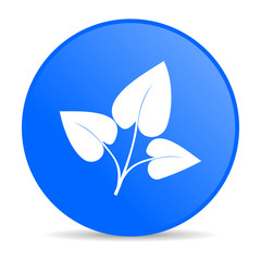 Obraz premium eco blue circle web glossy icon